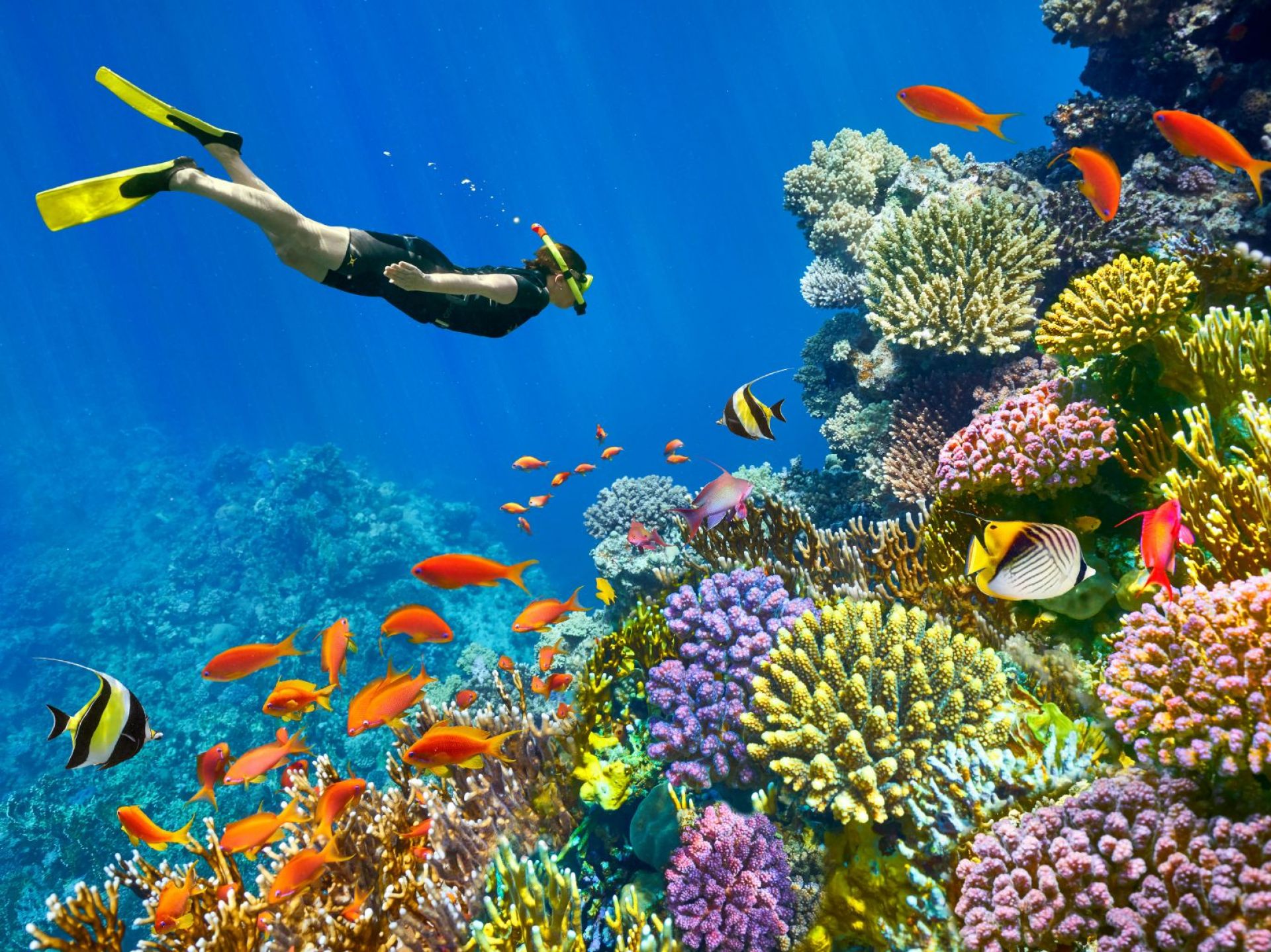 ЕКСКЛУЗИВНИ ОТСТЪПКИ - Почивка в Шарм ел Шейх, Египет със самолет от София - 7 нощувки